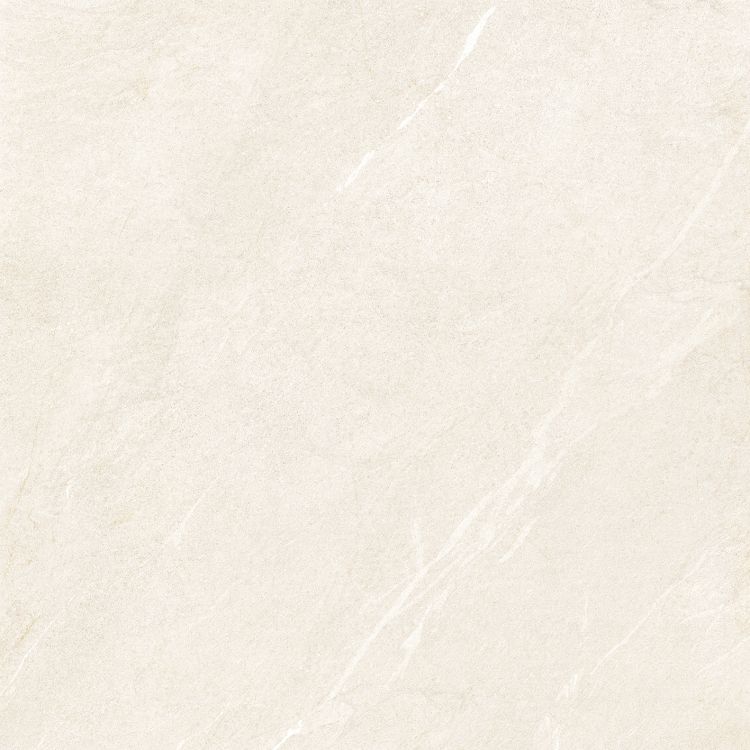 Dhara Sand Matte 48 x 48